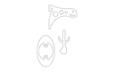 Wall Mount European Skull Trophy Holder - Laser Cut DXF