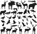 Wildlife Animals Silhouette Vector Collection for Laser Cutting