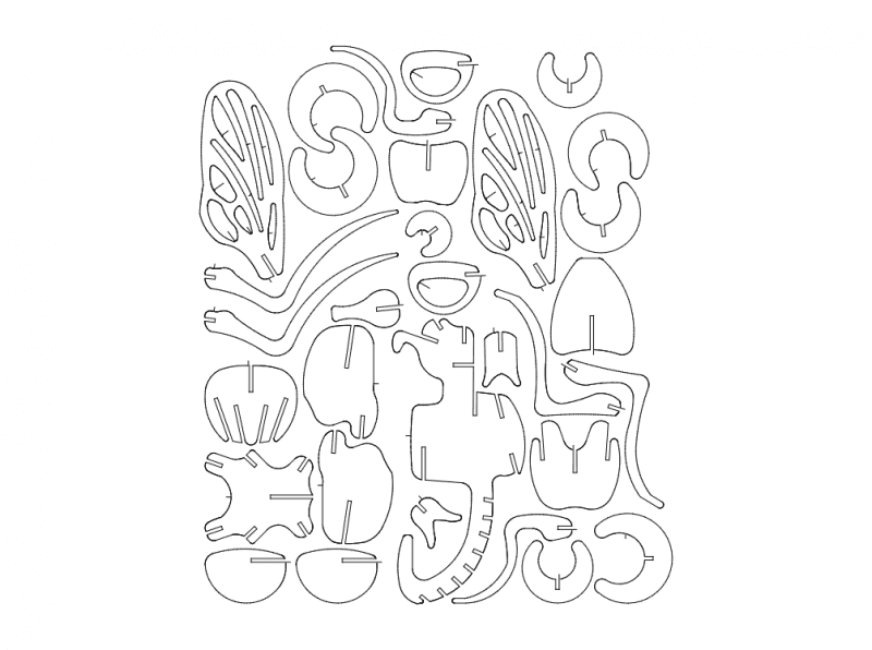 3D Fly Insect Puzzle Vector File for Laser Cutting (DXF)