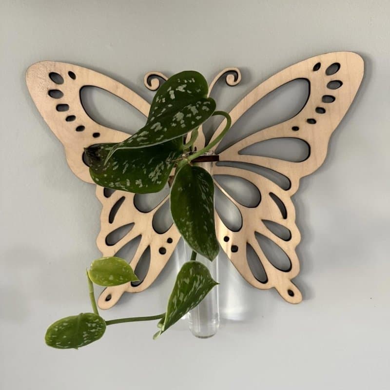 Butterfly Wall Propagation Station Laser Cut Vector File