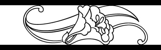 Elegant Floral Border Scroll Vector for CNC Laser Cutting