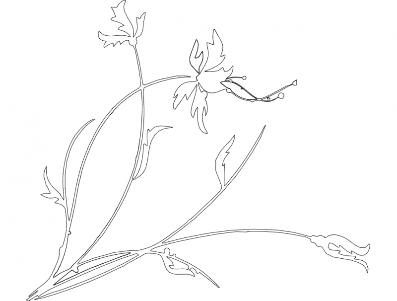 Elegant Wildflower Floral Vector Design DXF File