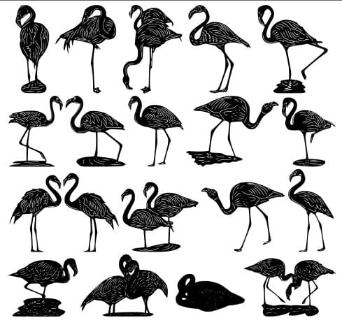 Flamingo Silhouette Collection Vector Files for Laser Cutting (DXF)