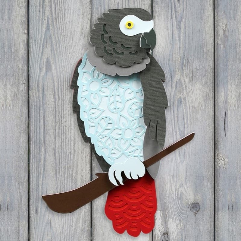 Layered African Grey Parrot Wall Art Laser Cut File