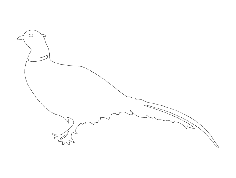 Pheasant Bird Silhouette Vector File for CNC Laser Cutting (DXF)