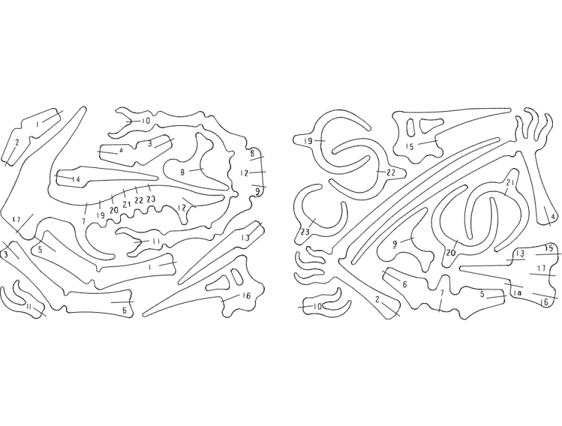 Pterodactyl 3D Puzzle Laser Cut Vector DXF File