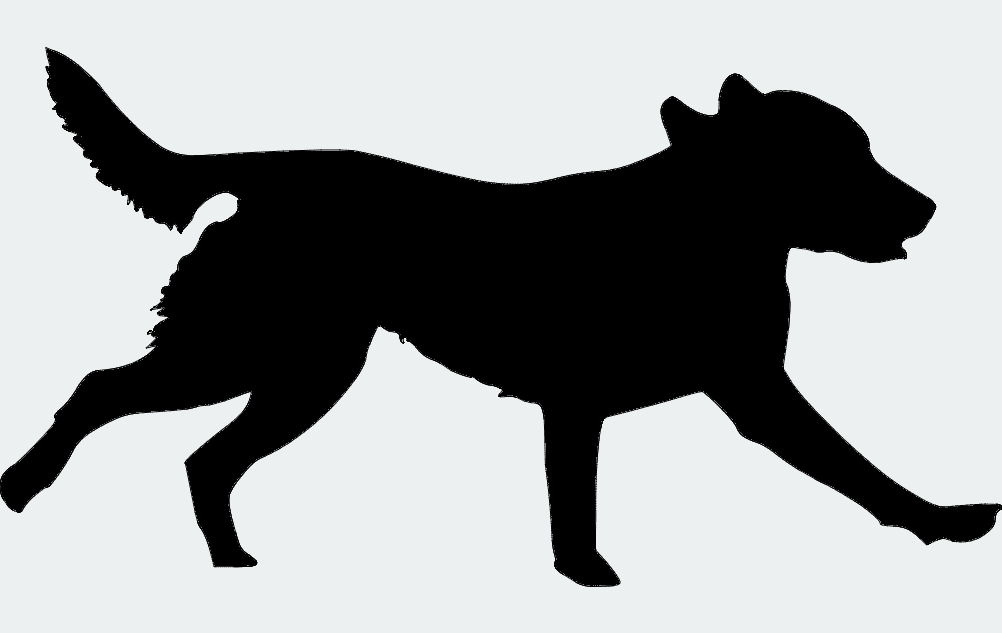 Running Labrador Retriever Silhouette Vector File DXF