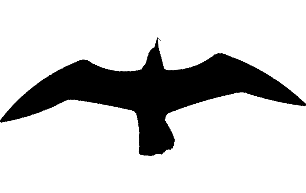 Soaring Seagull Silhouette Vector File for Laser Cutting
