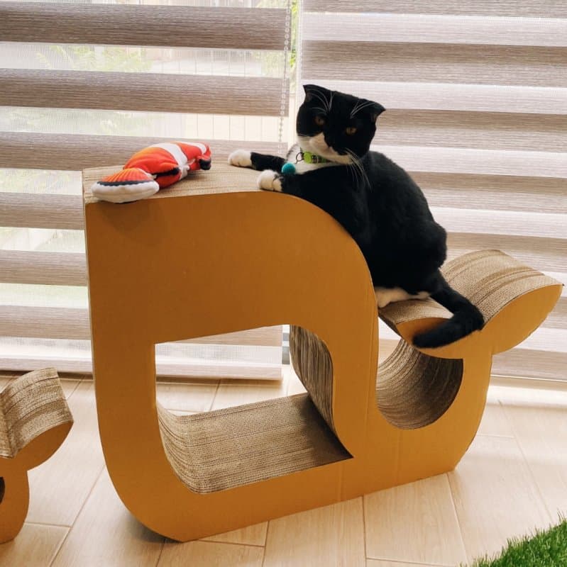 Whale Shaped Cat Scratcher and Bed Laser Cut Vector File